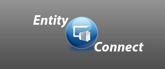 entity connect
